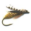 sedgefly pupa